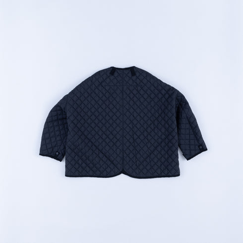 DR_FR1701LN | FLIRBL