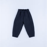 DR_FR1704PF | FPISPT