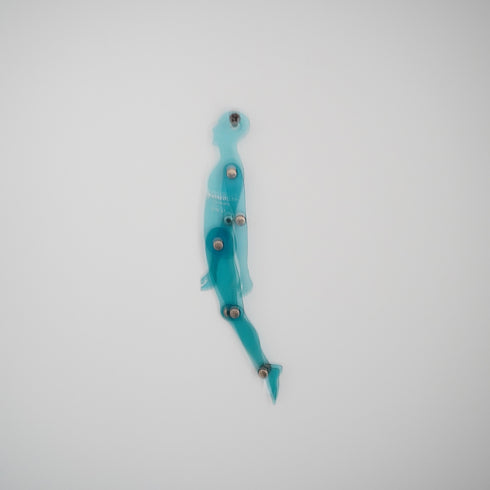 Transparent people/figures