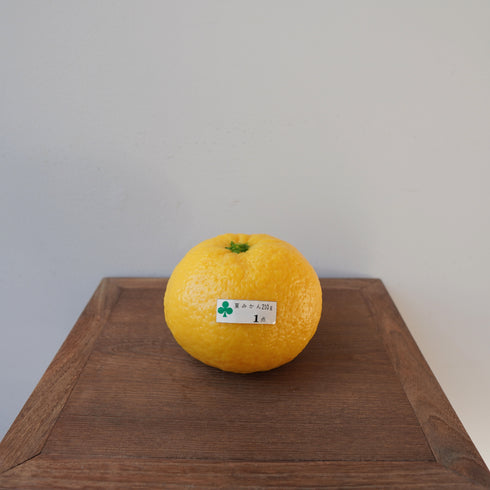 Heavy summer mandarin oranges