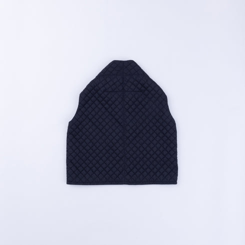 SN_FR1706VT | FRANVS