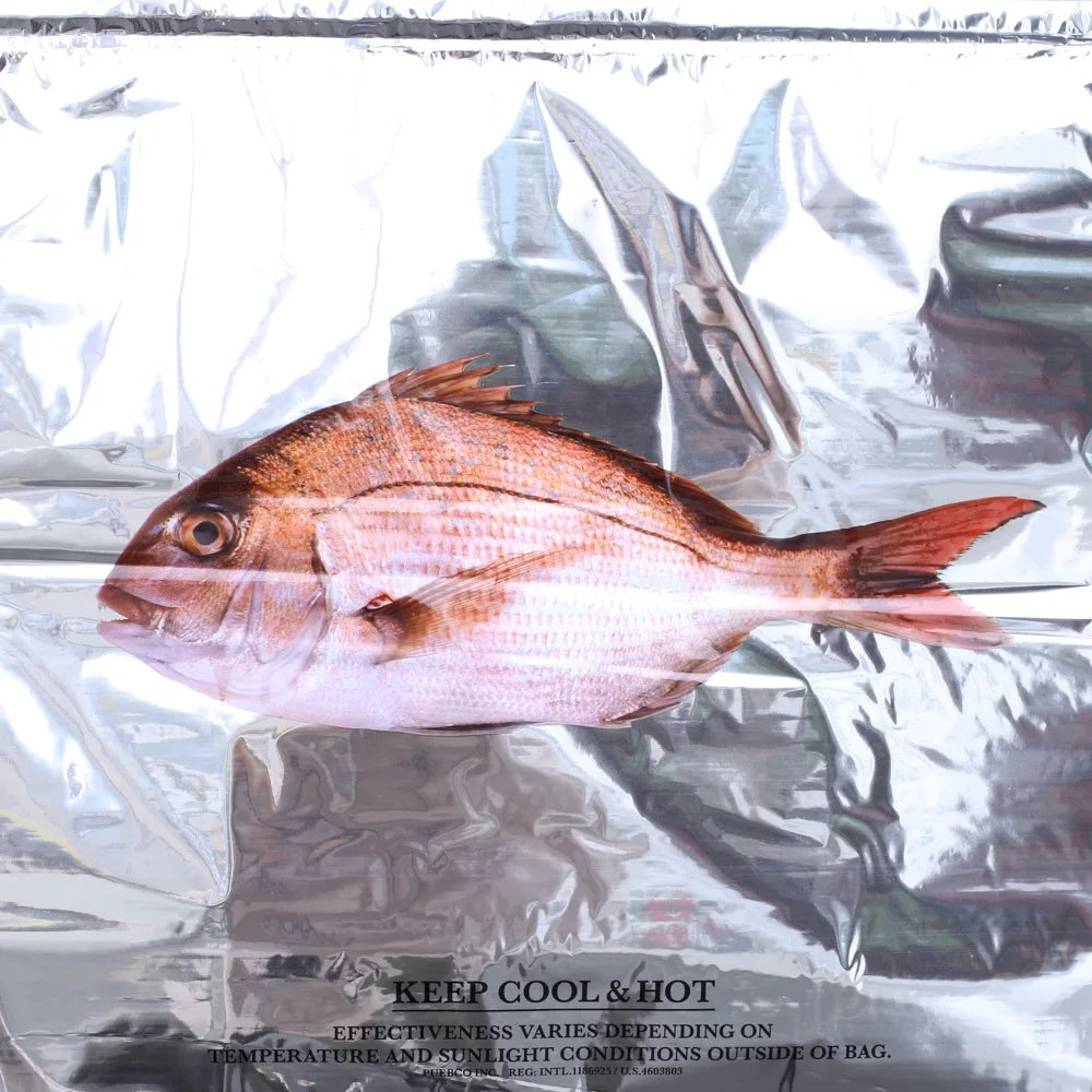 PUEBCO - THERMAL BAG Fish – YEANAY